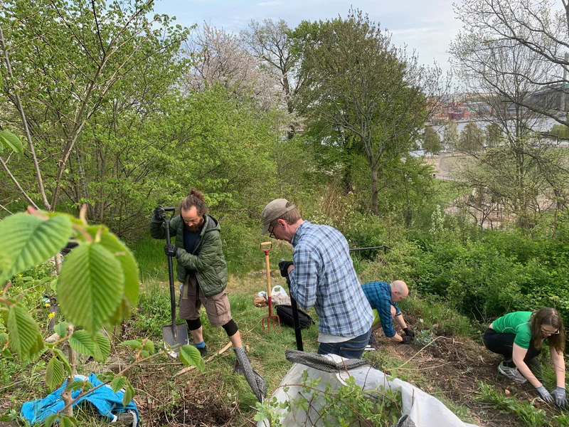 Workshop - Plantera träd och buskar