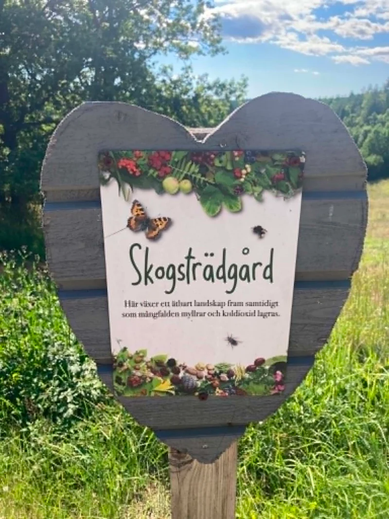 Matlagningsworkshop