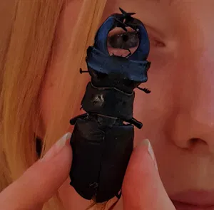 josefinvestberg