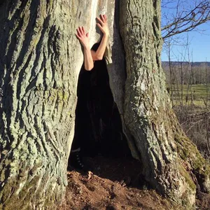 anomicholistic