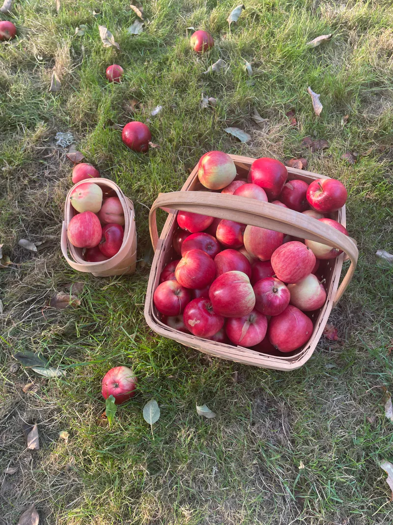 Bygdens Äpplemust!